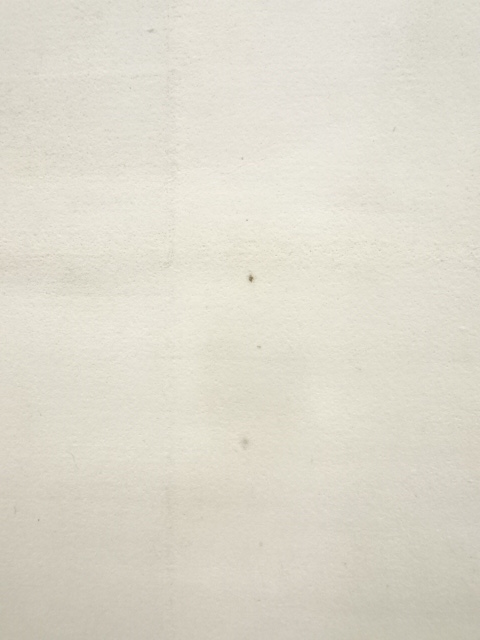 田中案山子/笹に鳥　肉筆　掛軸 田中案山子/笹に鳥 肉筆 掛軸 - メルカリ